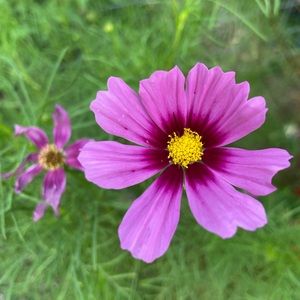 Meet your Posher, Shelbie